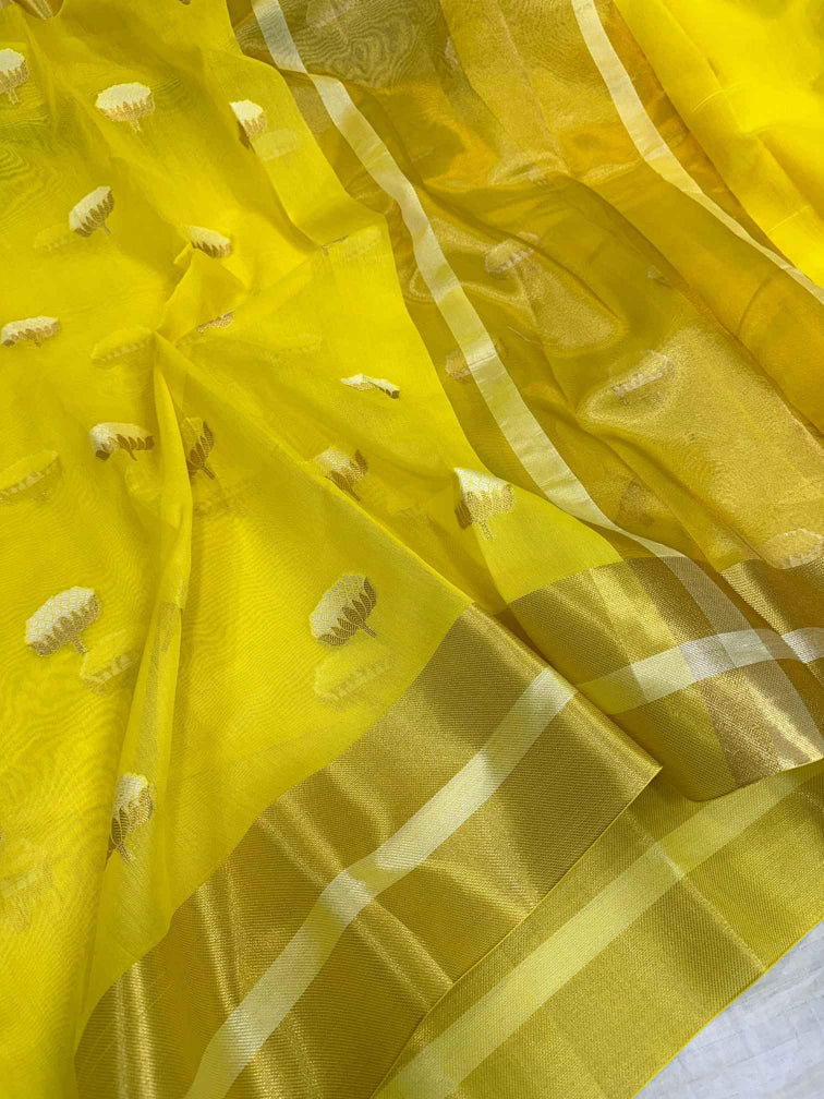 Katrina Kaif Inspired Linen Cotton Silk Saree