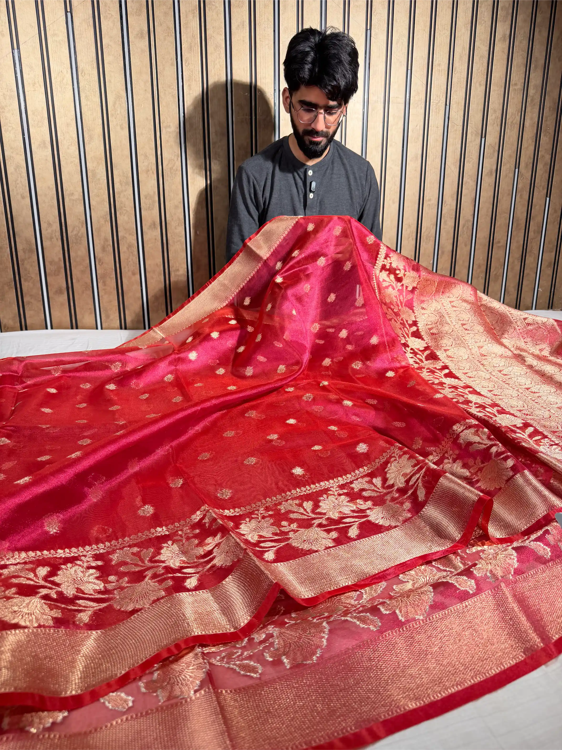 Metallic Rani Kora Tissue Silk Eccentric Banarasi Saree