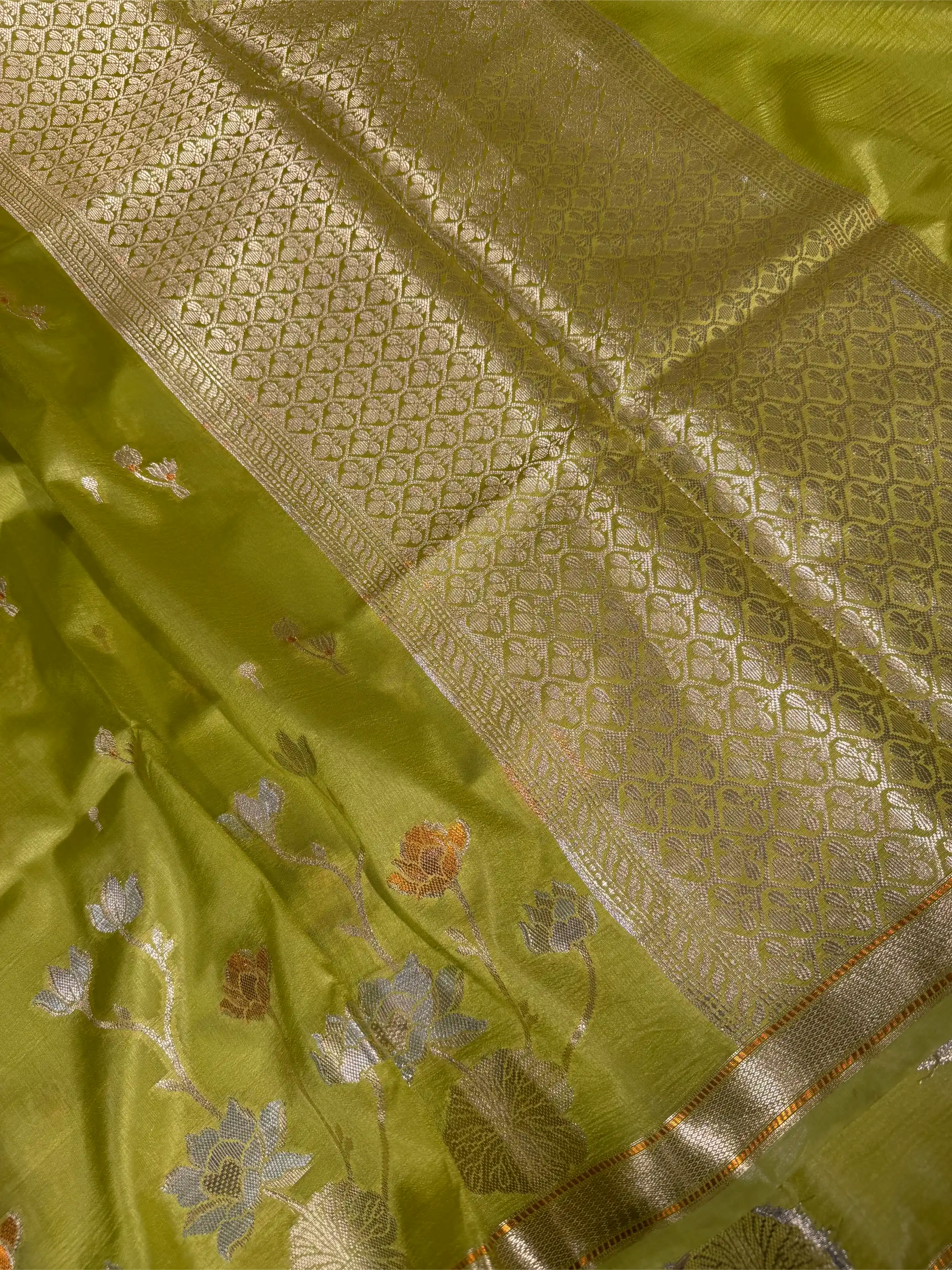 Mint Green Eccentric Raw Dupion Silk Banarasi Saree