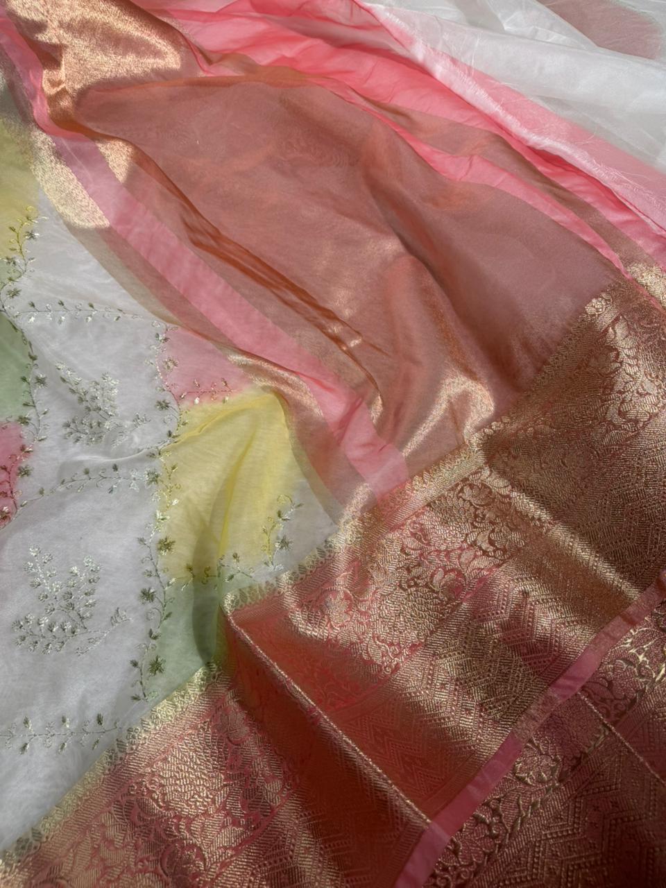 Rangkat Dyed Oragnza Chikankari Embroidered Banarasi Saree