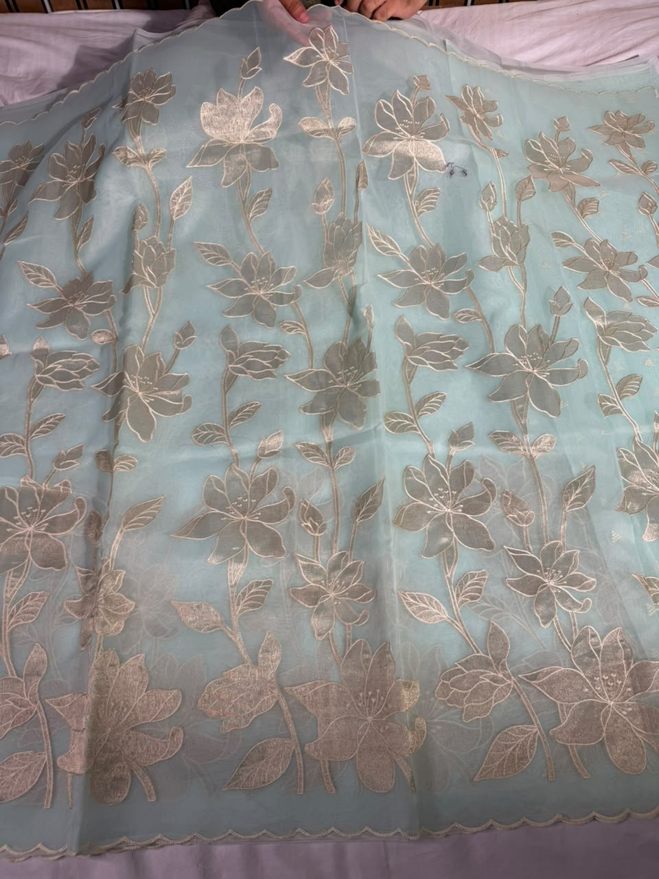 Sea blue Organza Banarasi Appliqué Work Saree