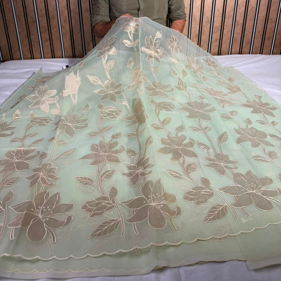 Sea Green Organza Banarasi Appliqué Work Saree