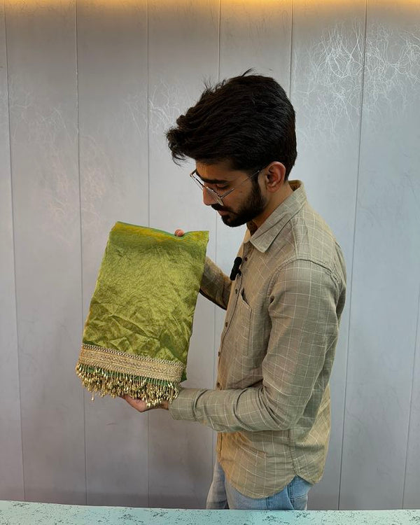 Light Green Paithani Tissue Silk Saree