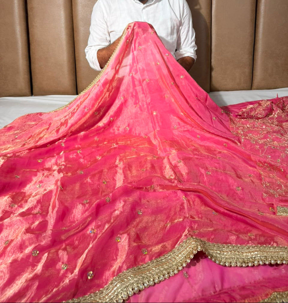 Baby Pink Shimmery Tissue Silk Embroidered Lace Work Saree