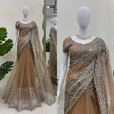 Beige Shade Glossy Net Shimmery Seauins Work Saree