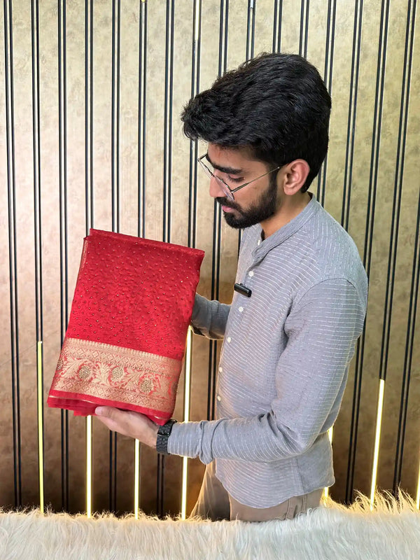 Blood Red Shade Glass Tissue Silk Banarasi Saree