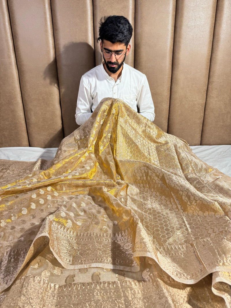 Copper Tissue Silk Saree with rich pallu and blouse