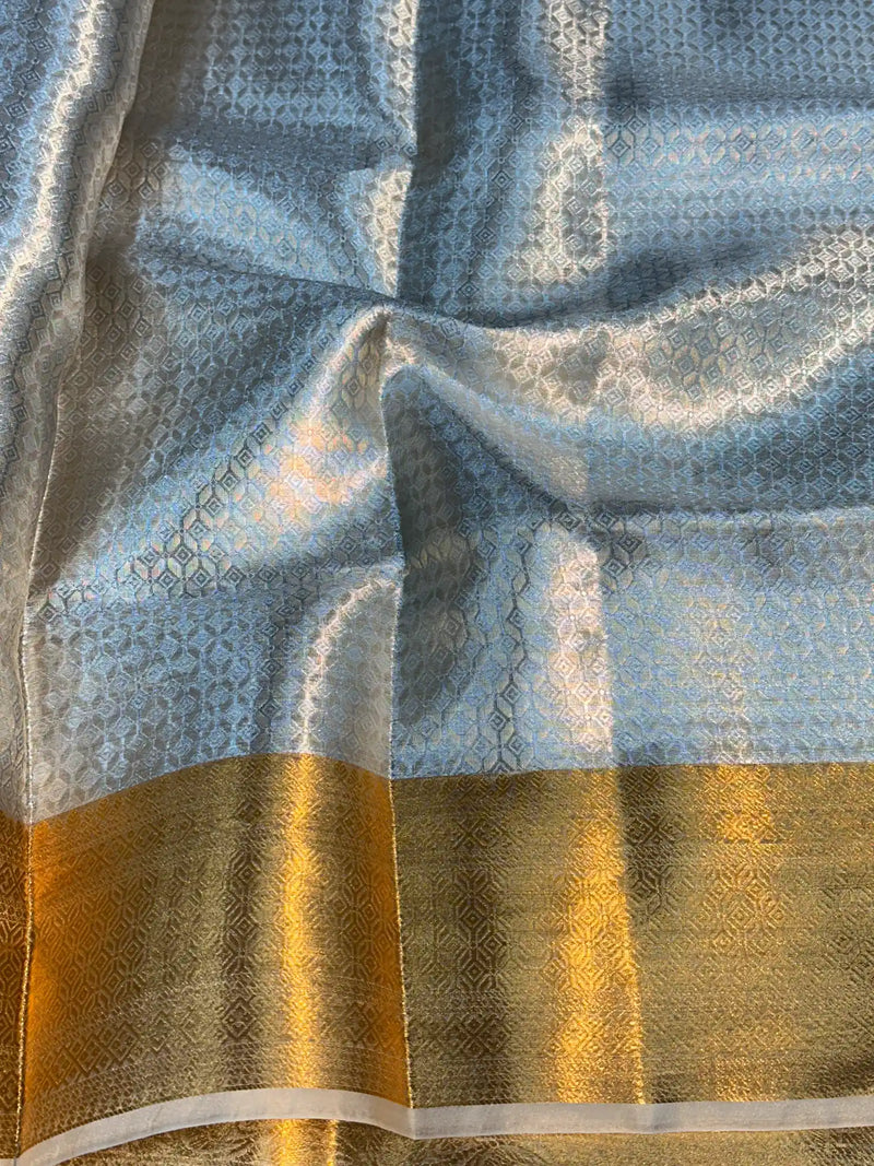 Eccentric Pure Tissue Silk Embossed Brocade Weave Banarasi Saree