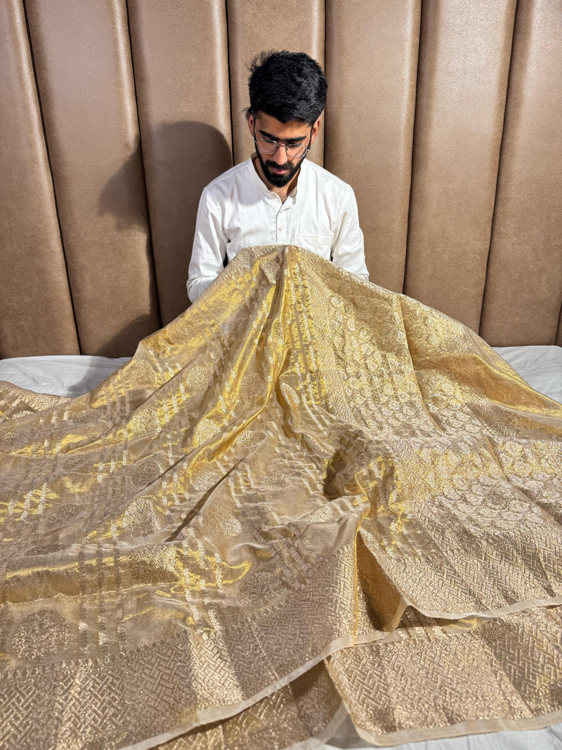 Exclusive Copper Tissue Silk Saree with rich pallu and blouse