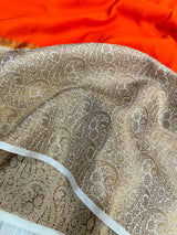 Fanta Orange Warm Silk Kaat Bandh Banarasi Saree