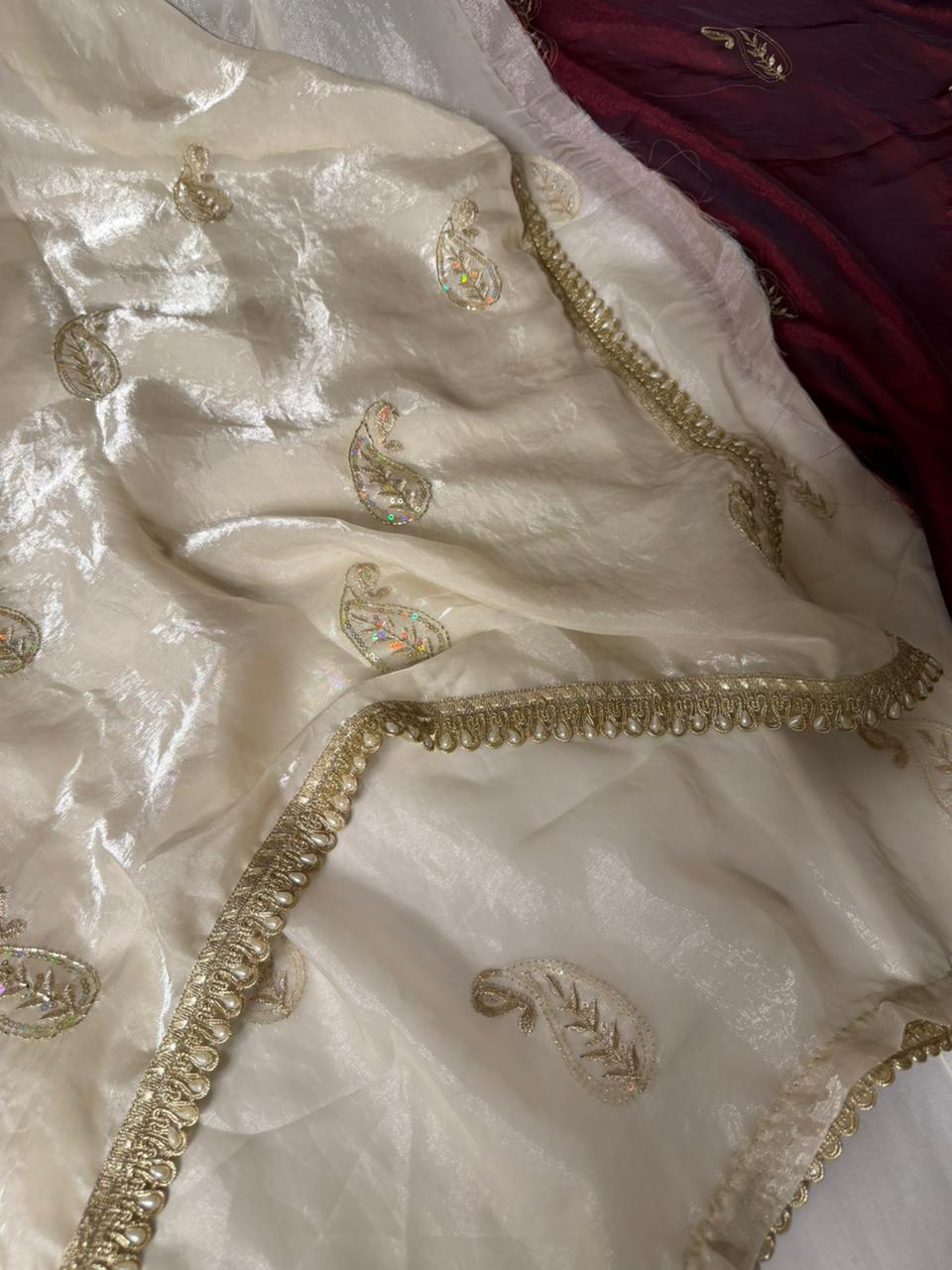 Ivory Cream Shade Shimmery Tissue Silk Handwork Saree
