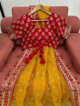 Light Mustard Yellow Kora Organza Thread Work Embroidery Designer Saree