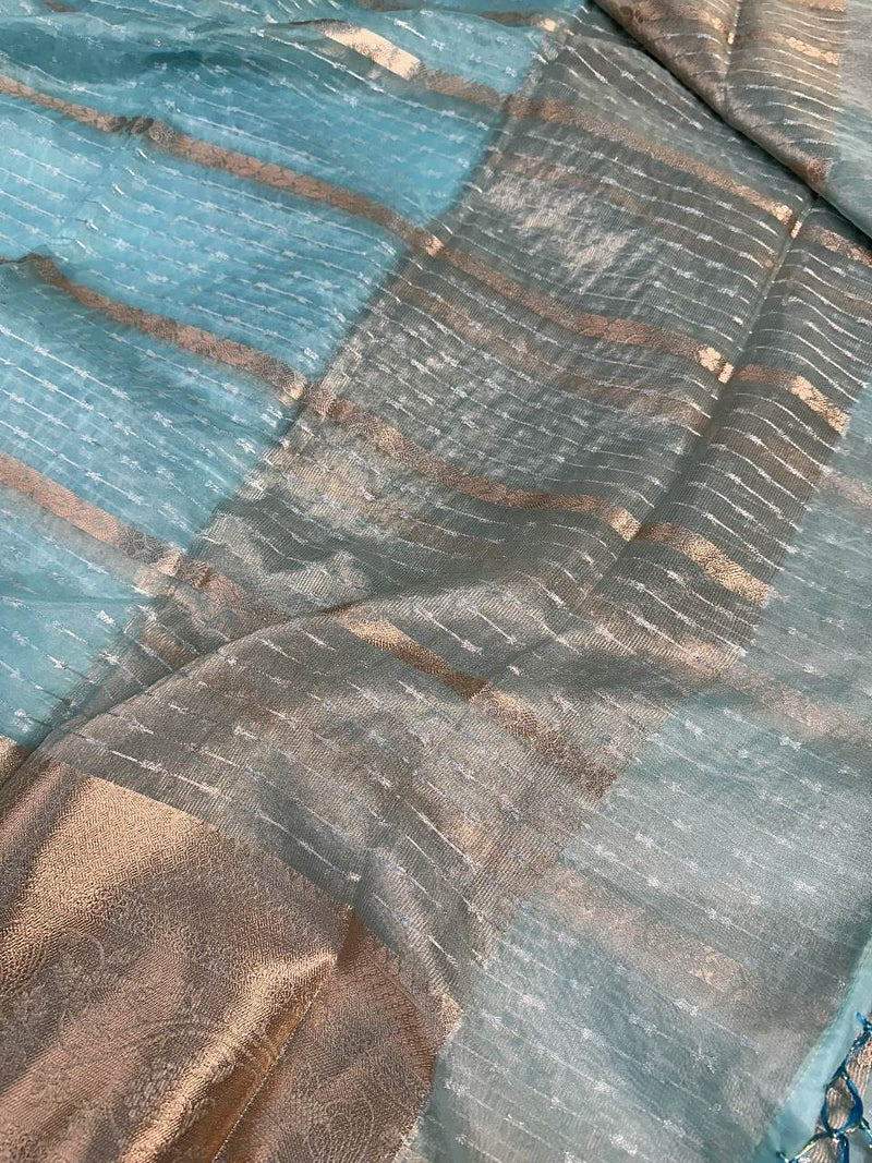 Light Blue Organza Silk Zari Banarasi Saree