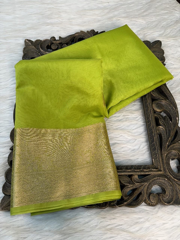 Light Green Organza Silk Banarasi Saree