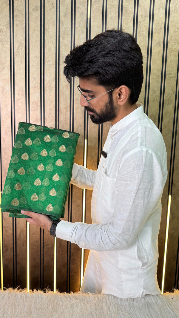 Metallic Green Glass Tissue Silk Heavy Stone work Banarasi Saree