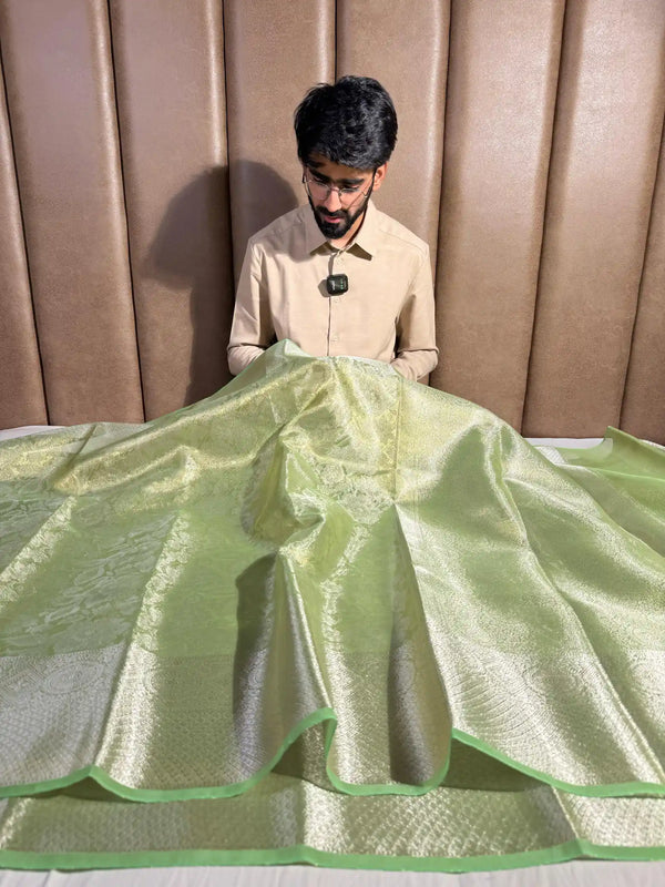 Never Seen Neon Glass Tissue Silk Banarasi Saree