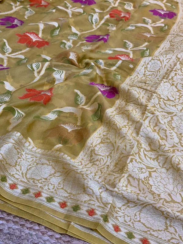 Parmesean Shade Floral Chiffon Silk Banarasi Saree