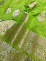 Parrot Green Chiniya Silk Zari Buta Banarasi Saree