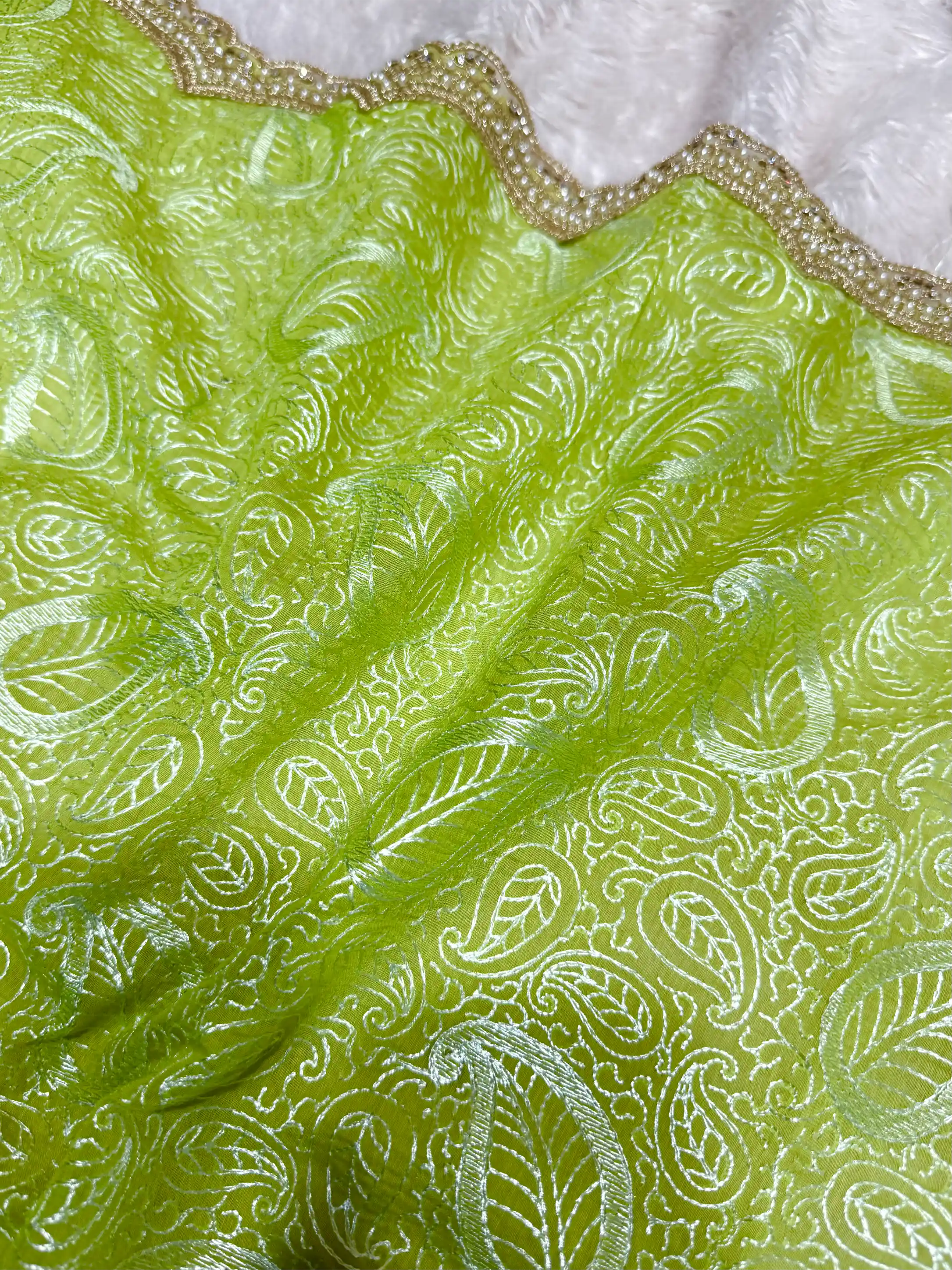 Parrot Green Pure Mul Chanderi Chikankari Work Banarasi Saree