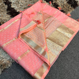 Salmon Pink Organza Silk Zari Banarasi Saree