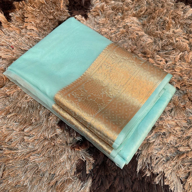 Sky Blue Organza Silk Traditional Banarasi Saree