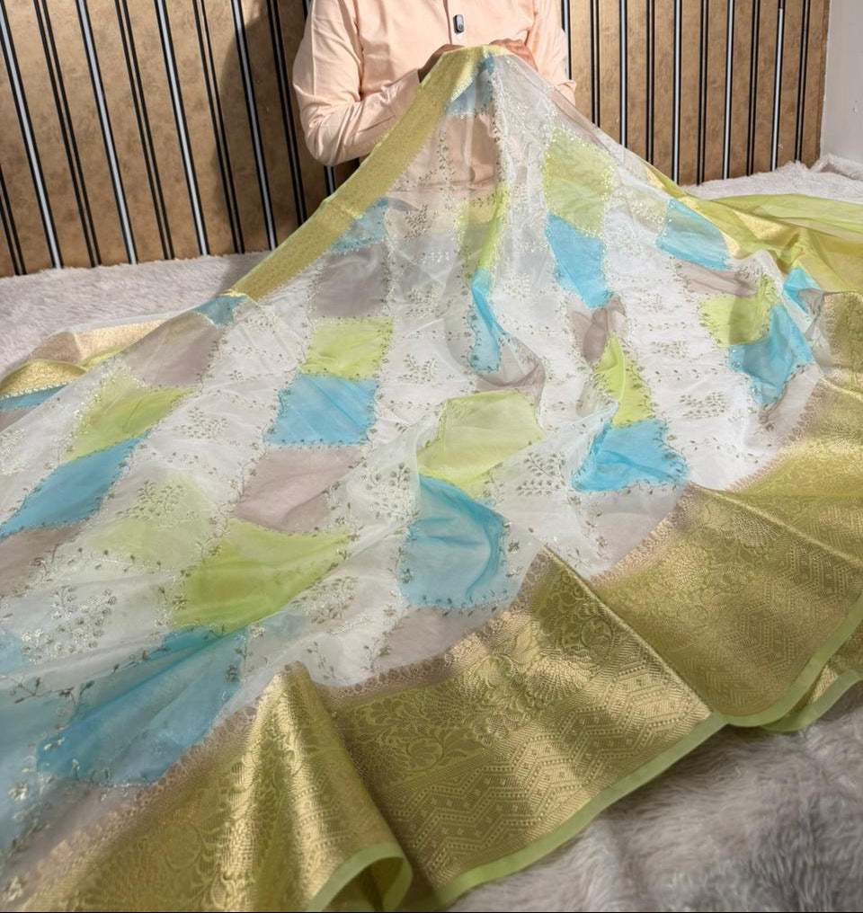 Rangkat Dyed Oragnza Chikankari Embroidered Banarasi Saree