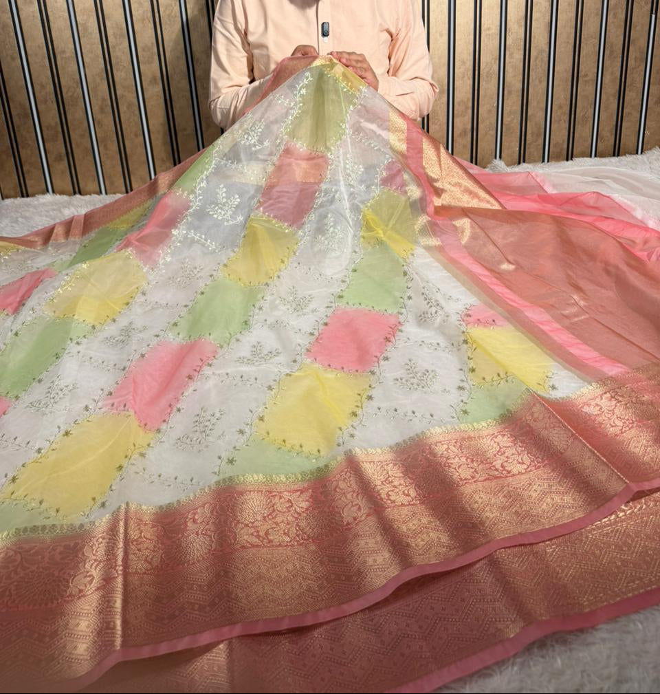 Rangkat Dyed Oragnza Chikankari Embroidered Banarasi Saree