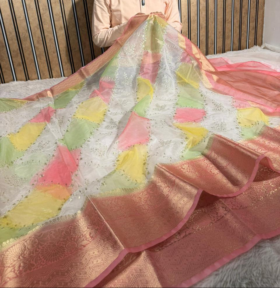 Rangkat Dyed Oragnza Chikankari Embroidered Banarasi Saree