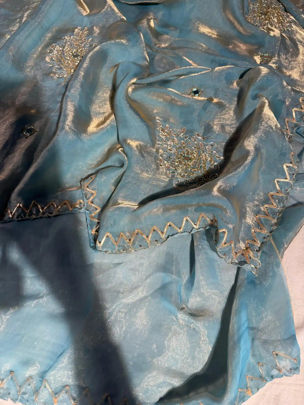 Rare Powder Blue Shimmery Tissue Silk Handwork Designer Saree