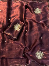 Rust Shimmery Tissue Handwork Saree