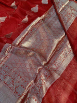 Red Organza Silk Zari Banarasi Saree