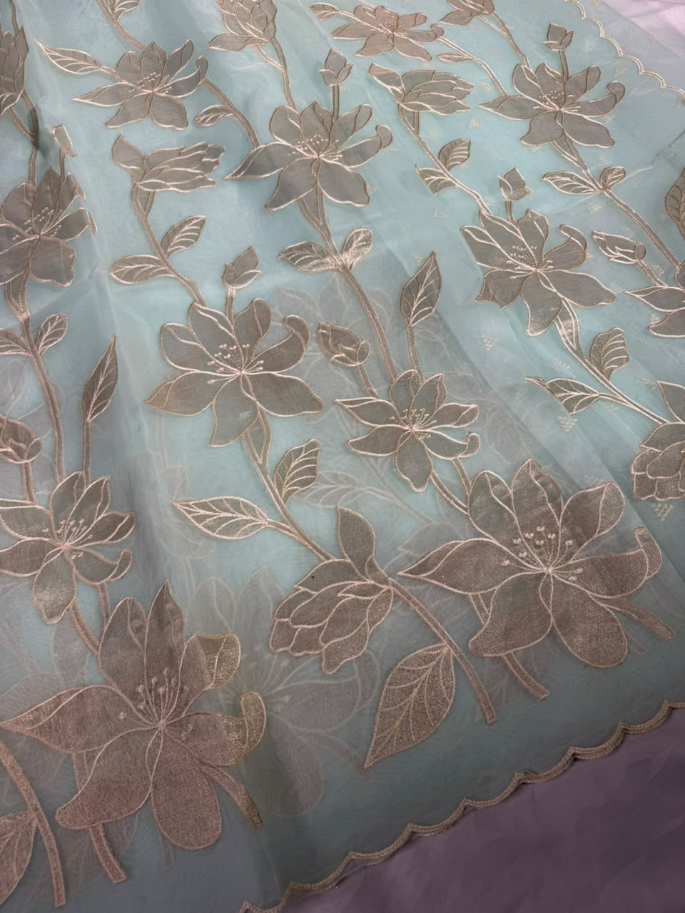 Sea blue Organza Banarasi Appliqué Work Saree