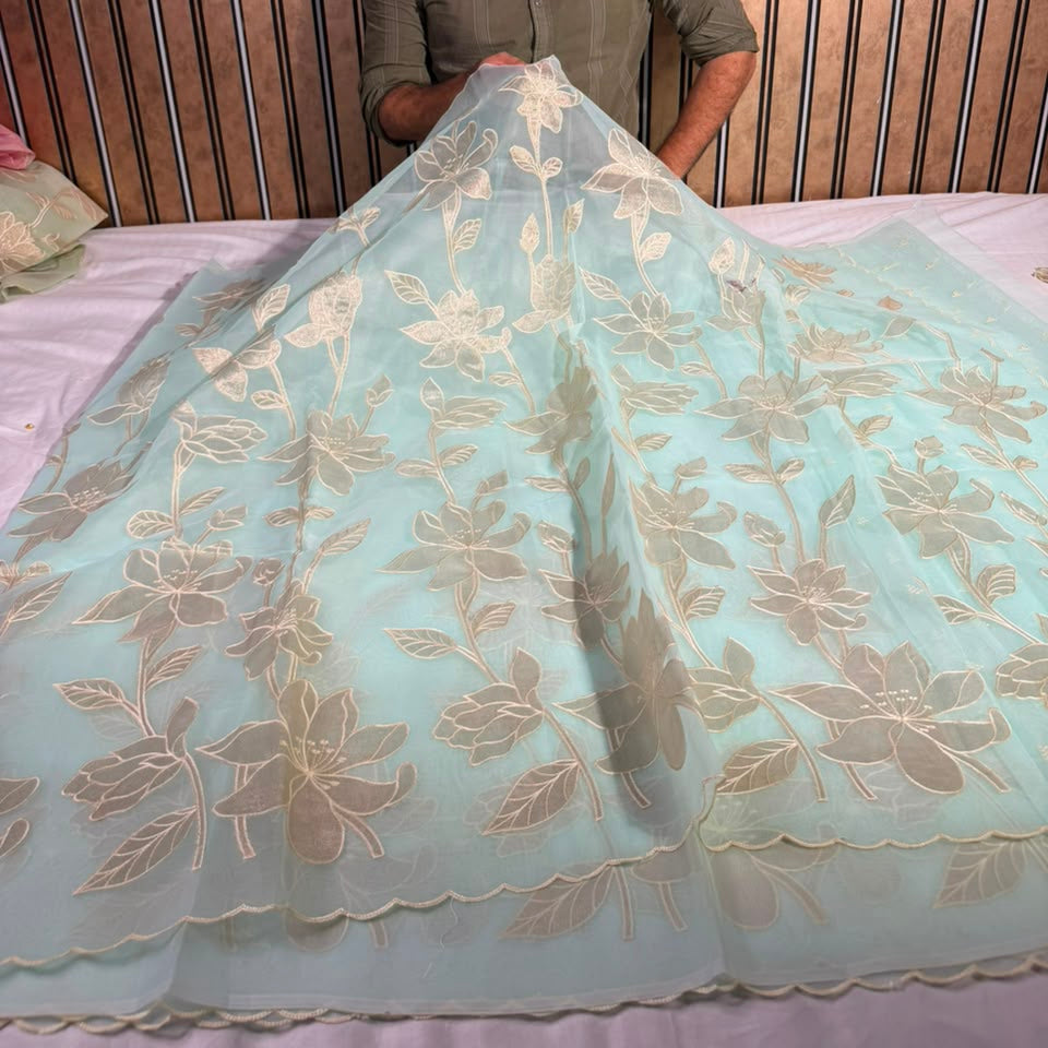 Sea blue Organza Banarasi Appliqué Work Saree