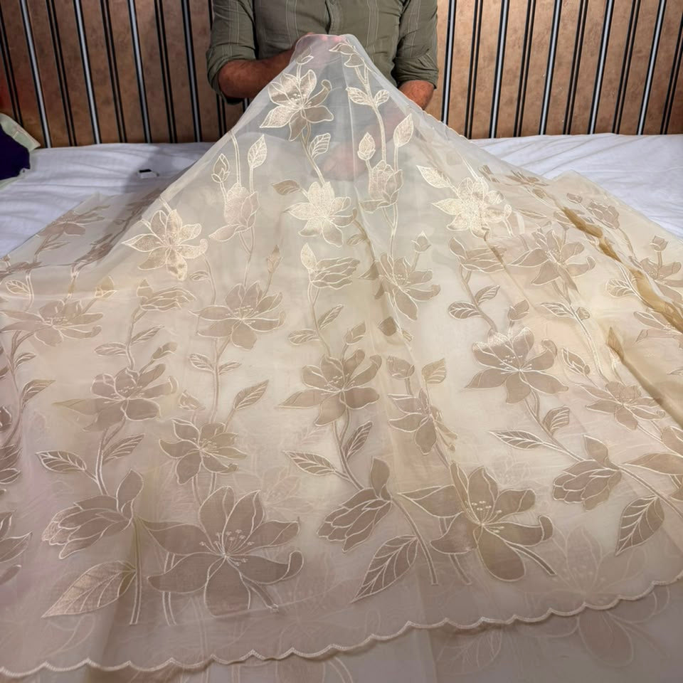 Cream Organza Banarasi Appliqué Work Saree