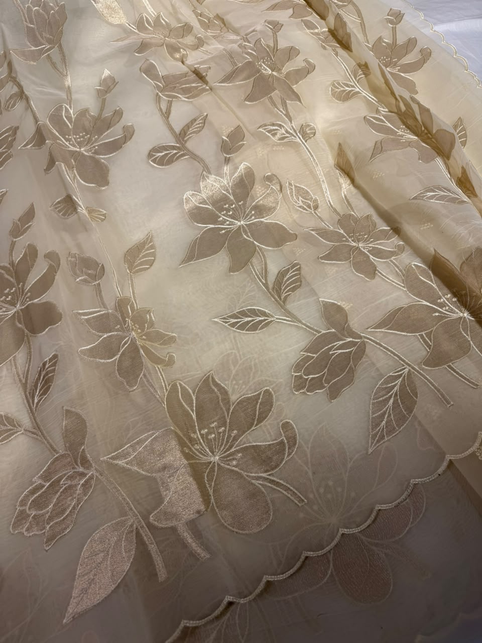 Cream Organza Banarasi Appliqué Work Saree