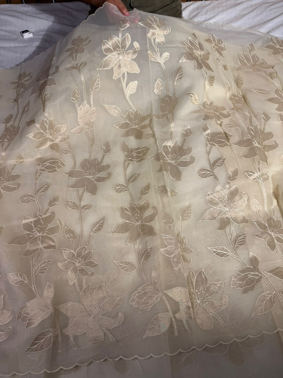 Cream Organza Banarasi Appliqué Work Saree