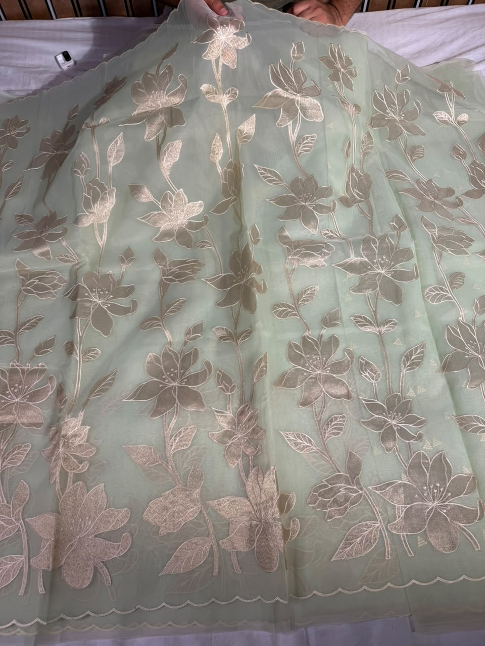 Sea Green Organza Banarasi Appliqué Work Saree