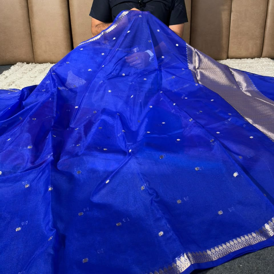 Royal Blue Kora Organza Banarasi Saree with Silver Zari Border