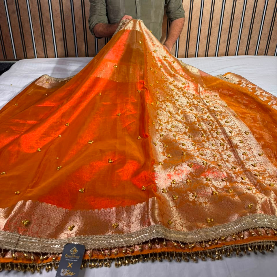 Dhoop Chaon Orange  Viral Ghungroo Work Tissue Saree